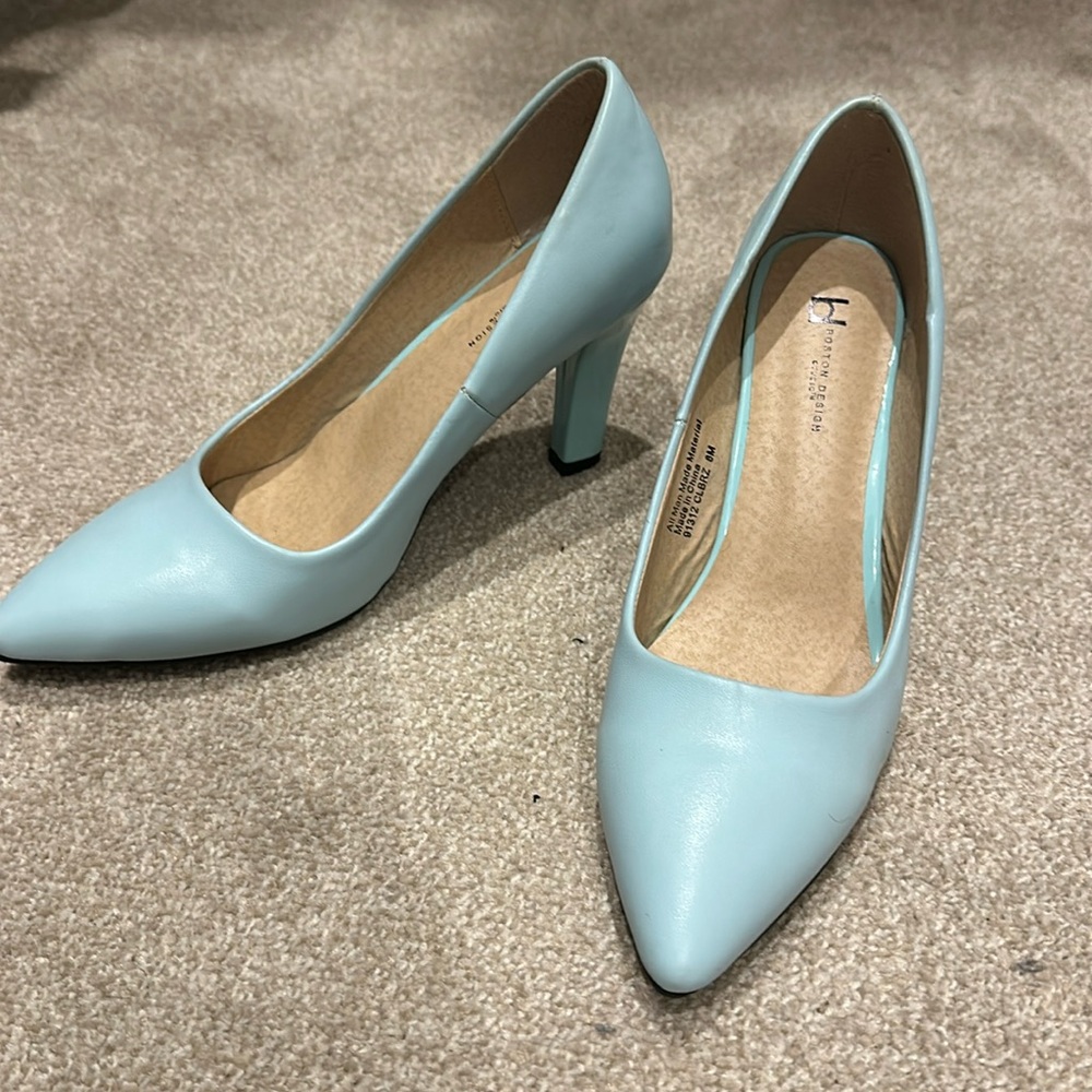 Robins Egg Blue Heals